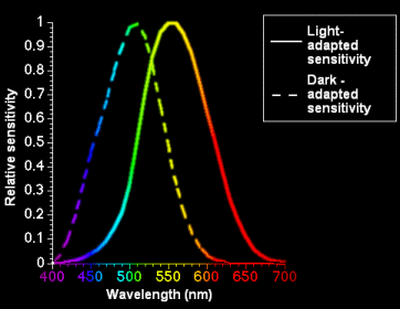 Human eye sensitivity to colors